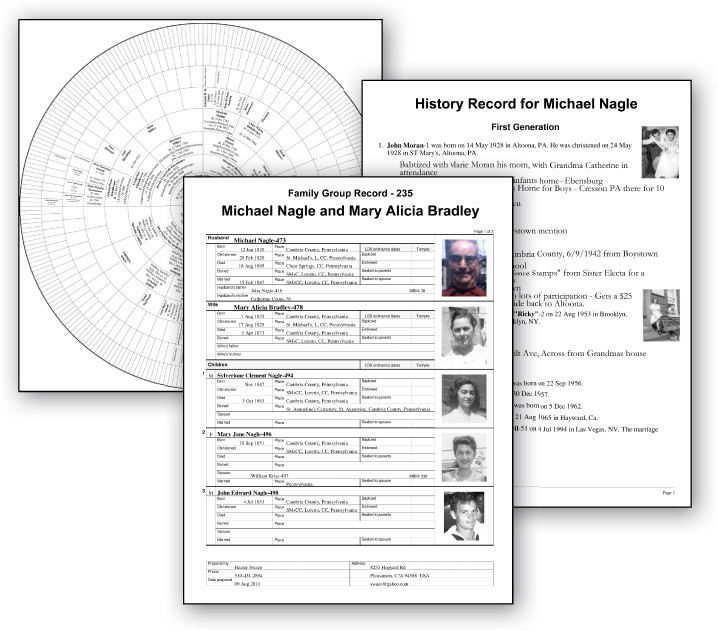 Family Tree Heritage Platinum 9 - кадр 3
