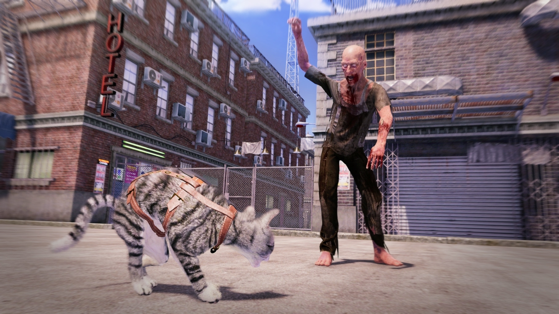 Max and Maya: Cat Simulator - кадр 4