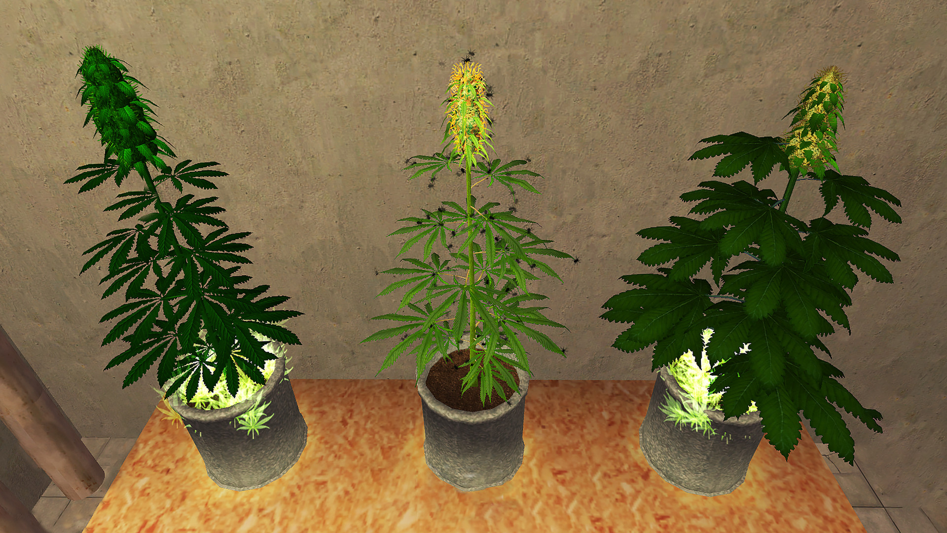 Weed Shop 2 - кадр 1