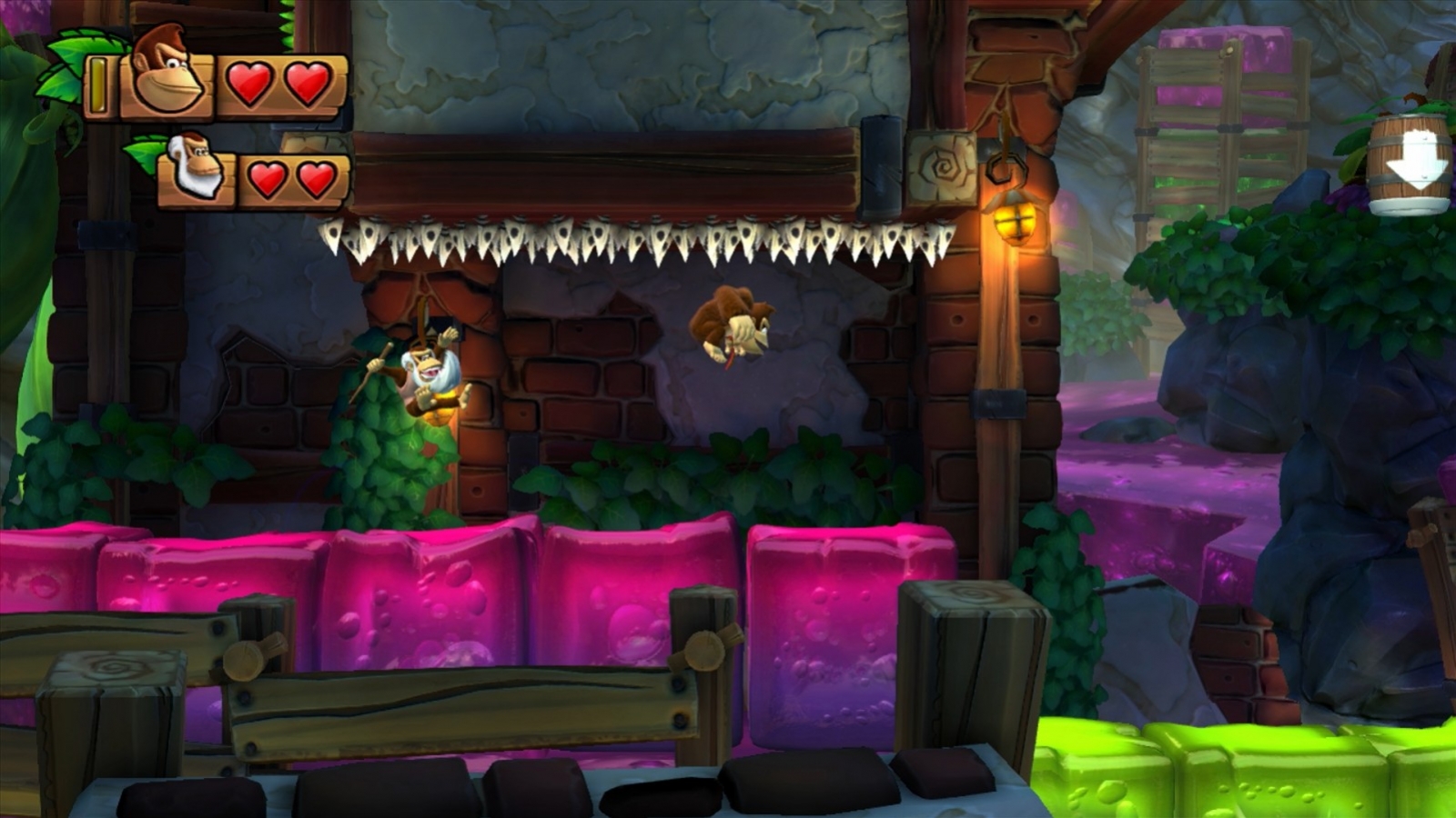 Donkey Kong Country: Tropical Freeze - кадр 4