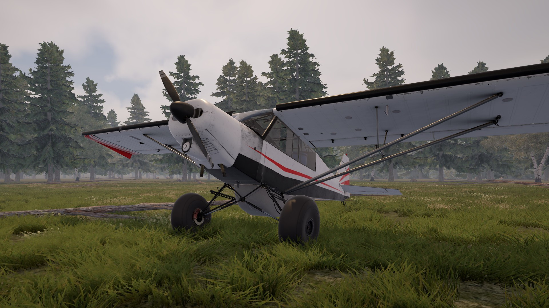 Deadstick - Bush Flight Simulator - кадр 4