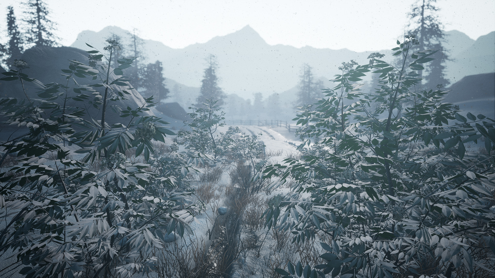 Forgotten Land - кадр 2