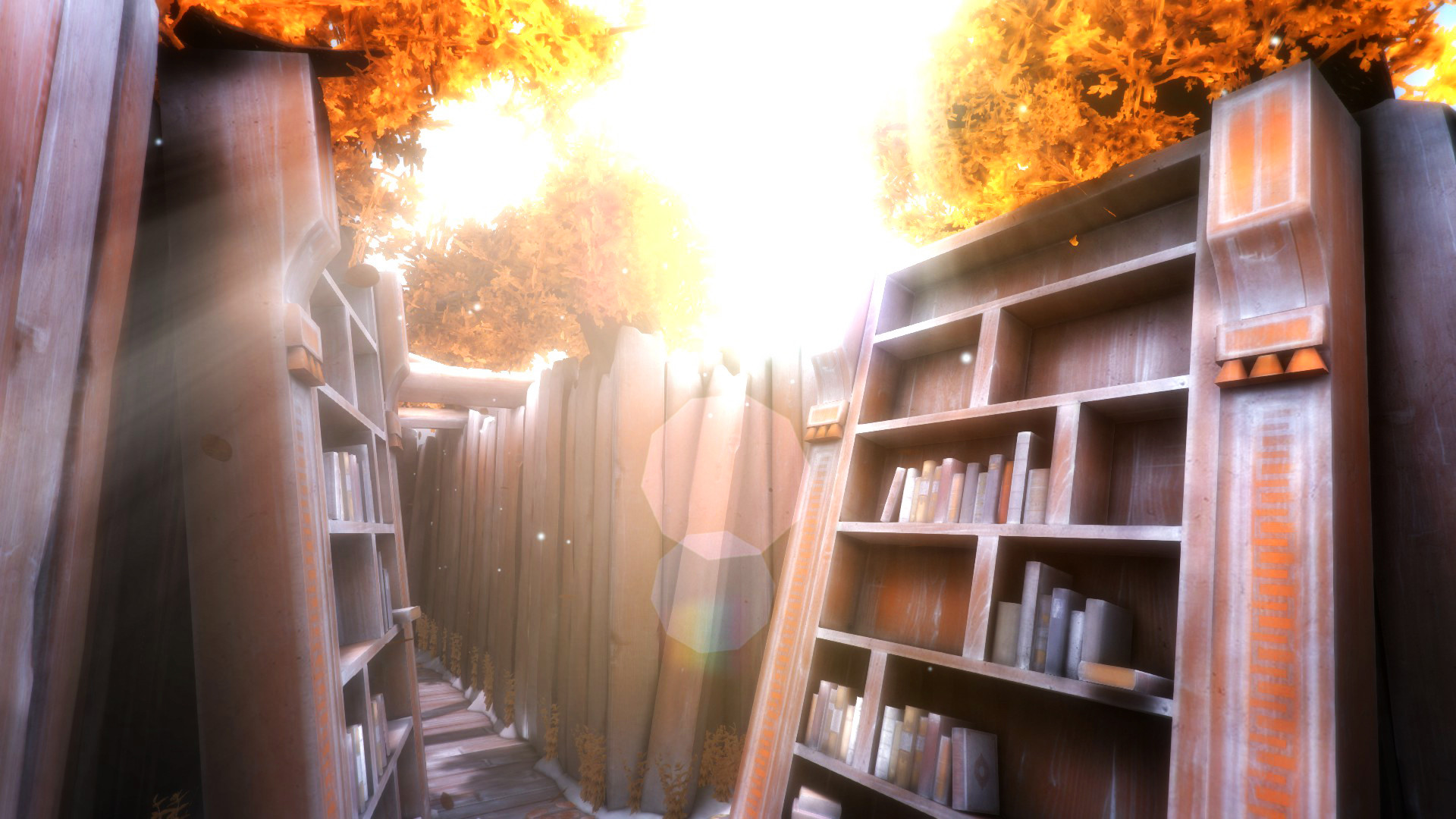 The Guest - кадр 6