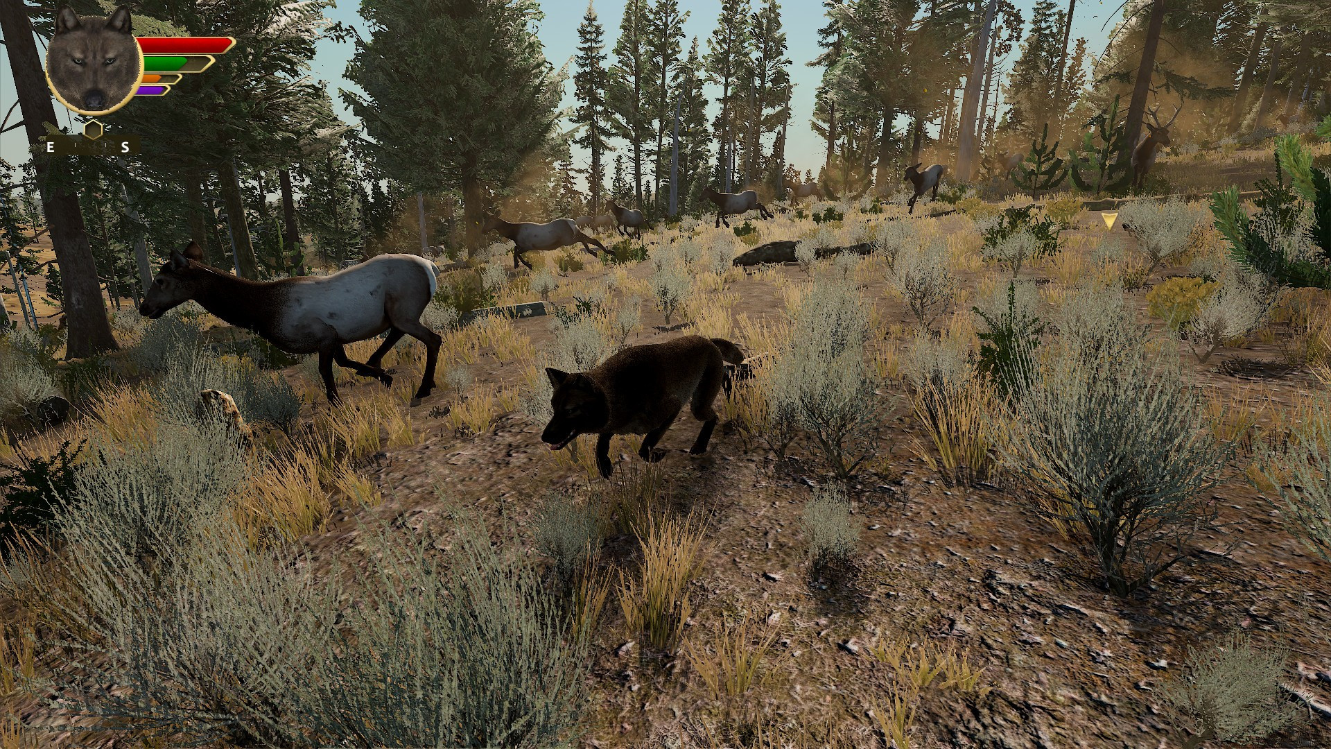 WolfQuest: Anniversary Edition - кадр 4