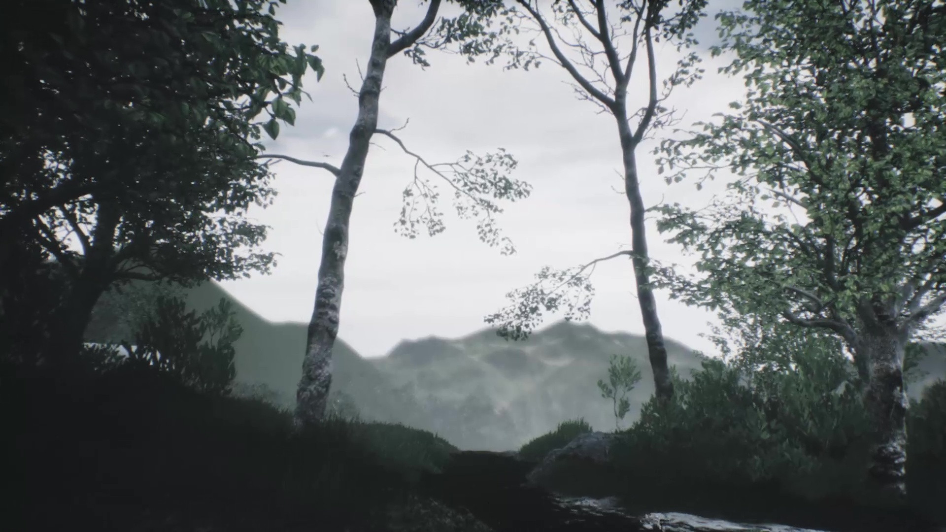 Explorable Forest Valley (itch) - кадр 2