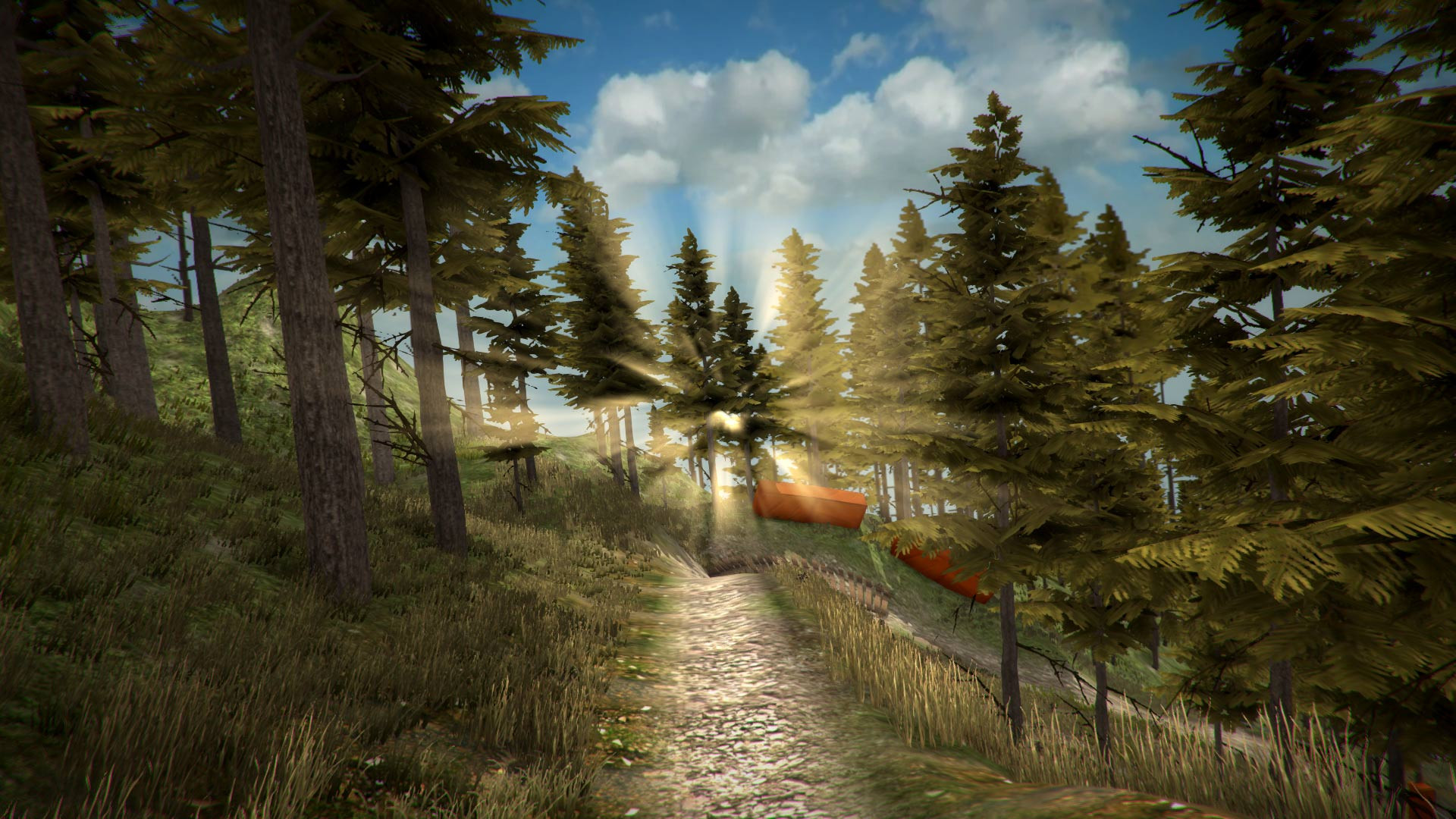 MTB Downhill Simulator - кадр 3