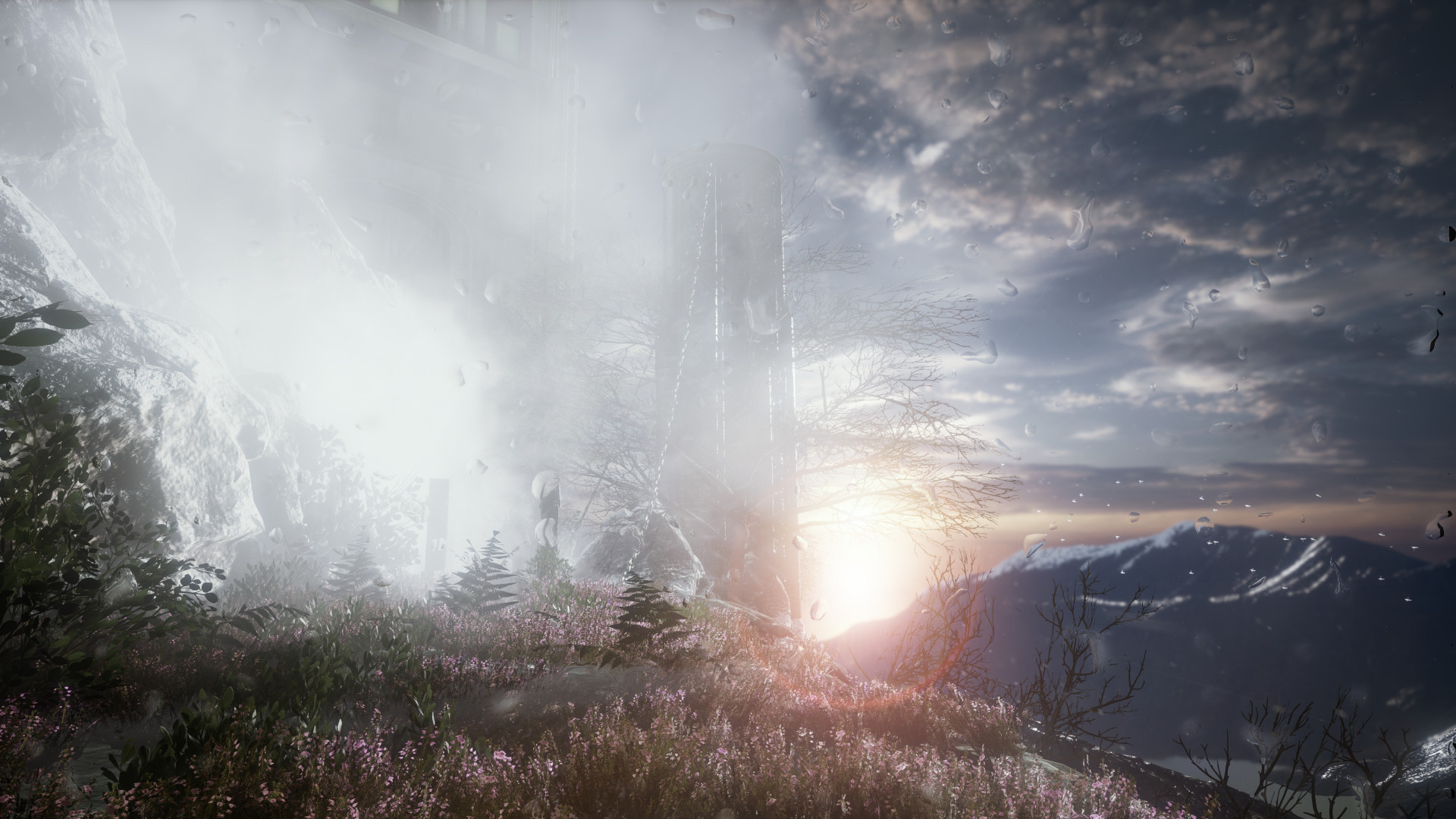 The Butterfly Sign: Human Error - кадр 4