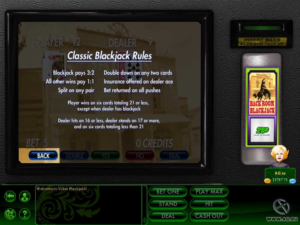 Hoyle Casino Games (2011) - кадр 3