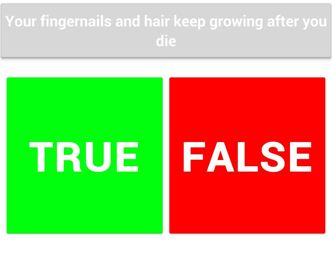 True or False (itch) - кадр 2