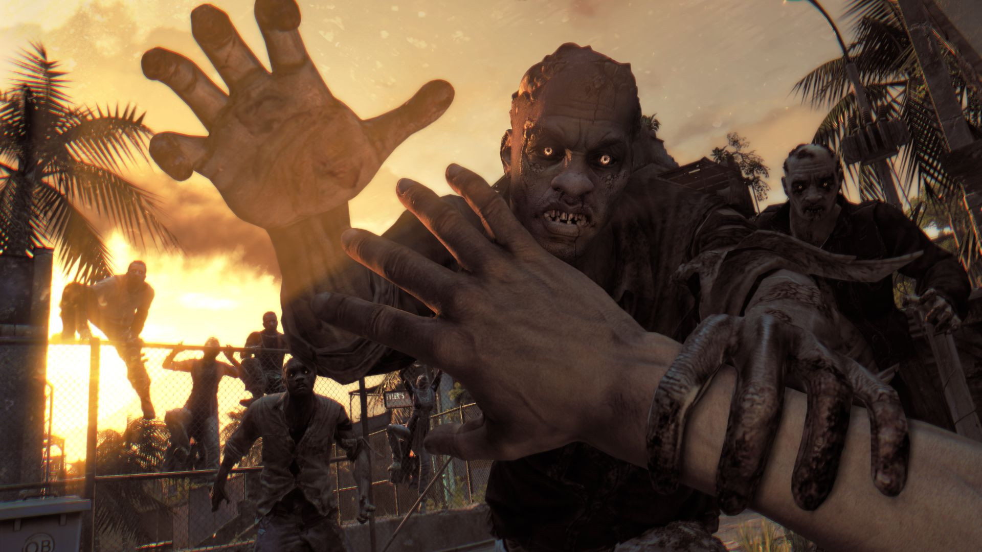 Dying Light: The Following - Enhanced Edition - кадр 15
