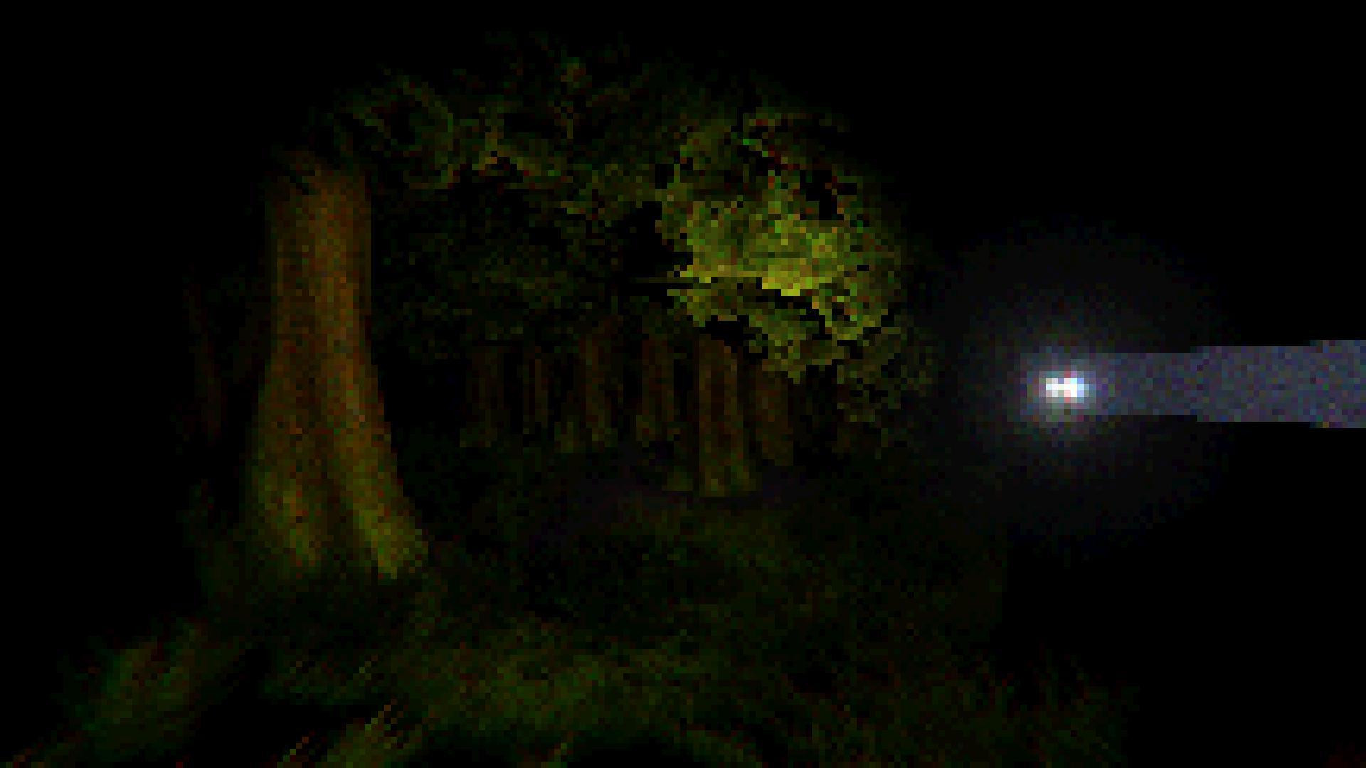 THE FOREST - PSX STYLE (itch) - кадр 8