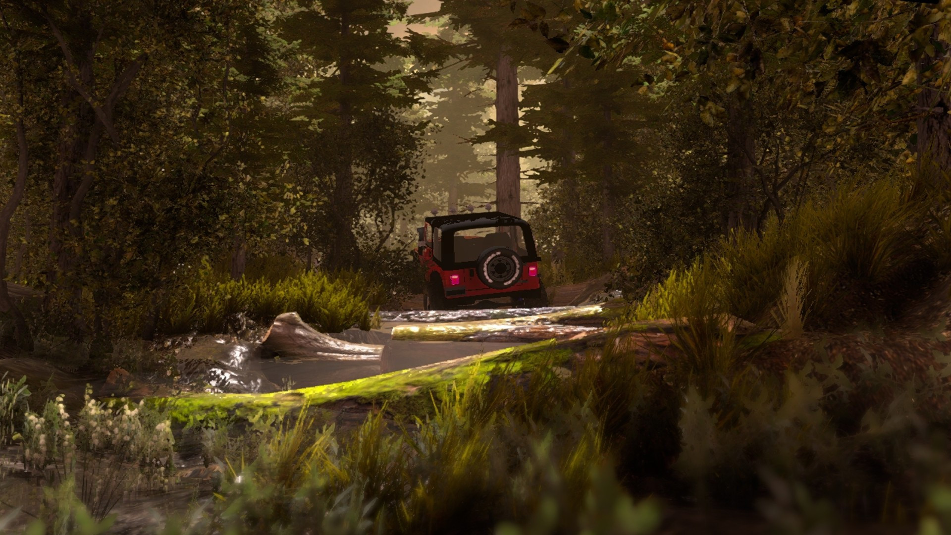 Amortizer Off-Road - кадр 7