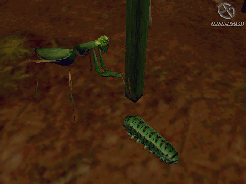 Empire Of The Ants - кадр 5
