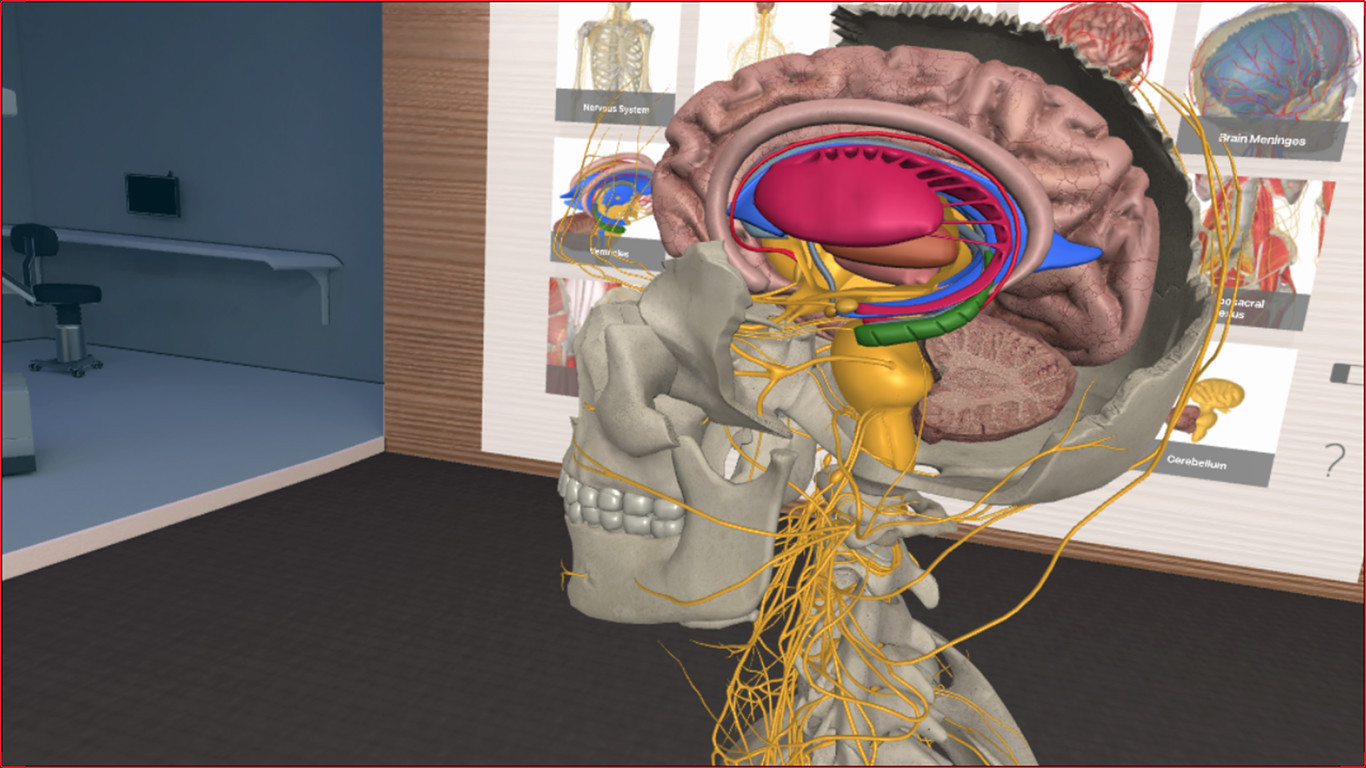 3D Organon VR Anatomy - кадр 5