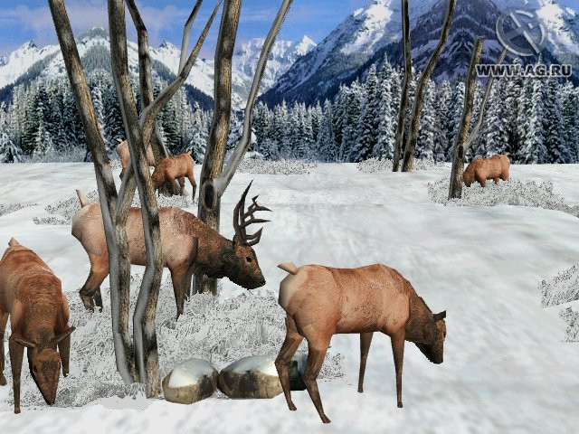 Big Buck Hunter - кадр 6