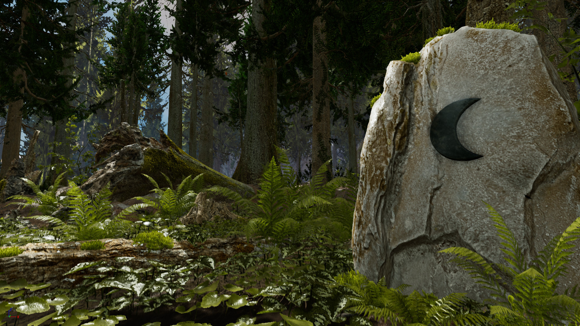 Shinrin-yoku: Forest Meditation and Relaxation - кадр 3