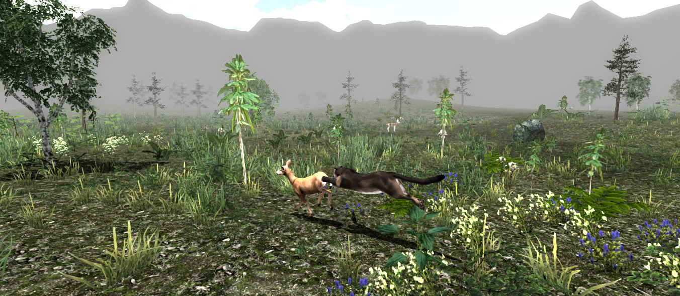 Untamed: Life Of A Cougar - кадр 2