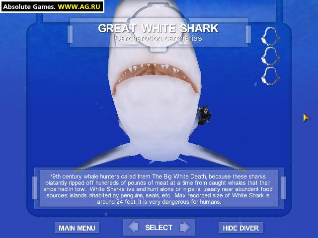Shark! Hunting the Great White - кадр 5