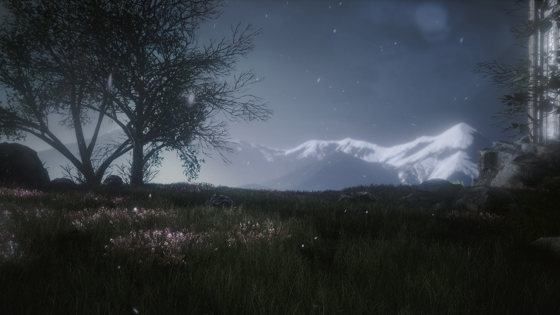 The Butterfly Sign: Human Error - кадр 6