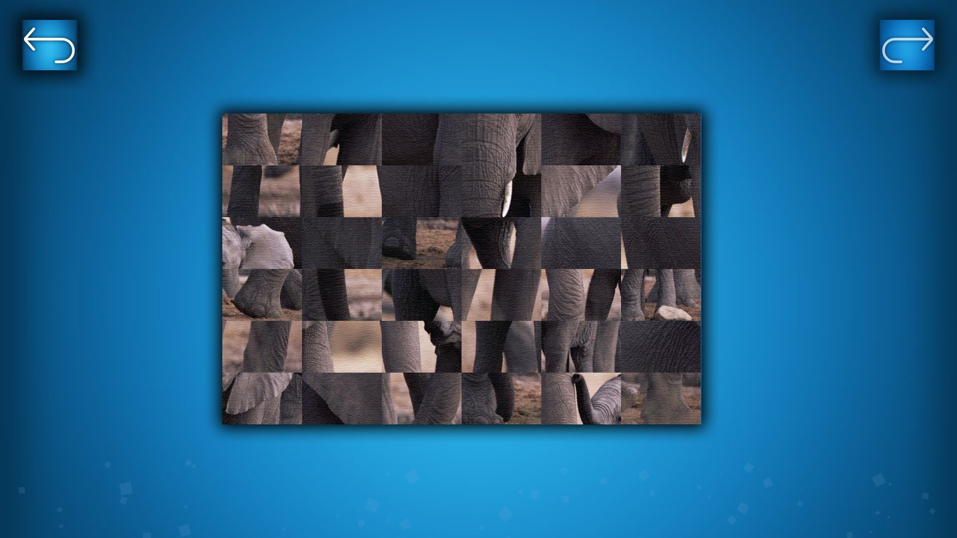 PUZZLE: ANIMALS - кадр 1