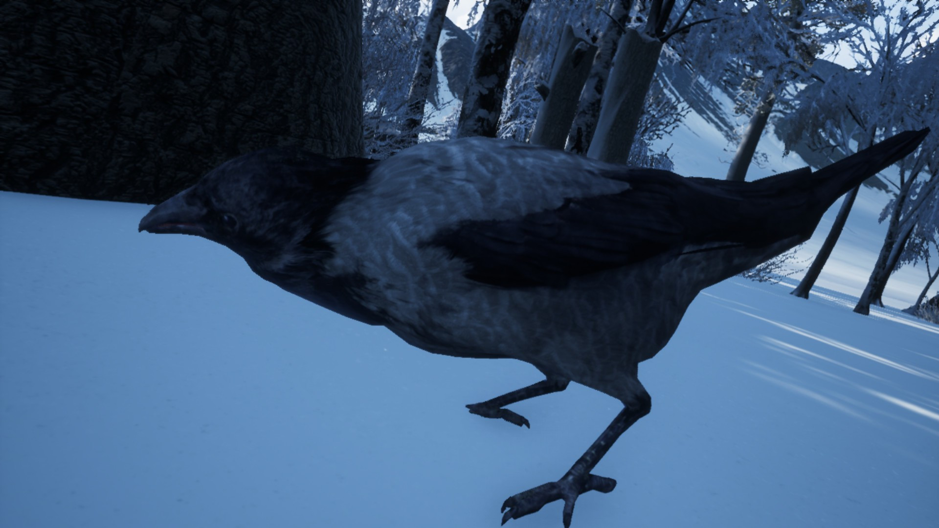Hiking Simulator 2018 - кадр 3