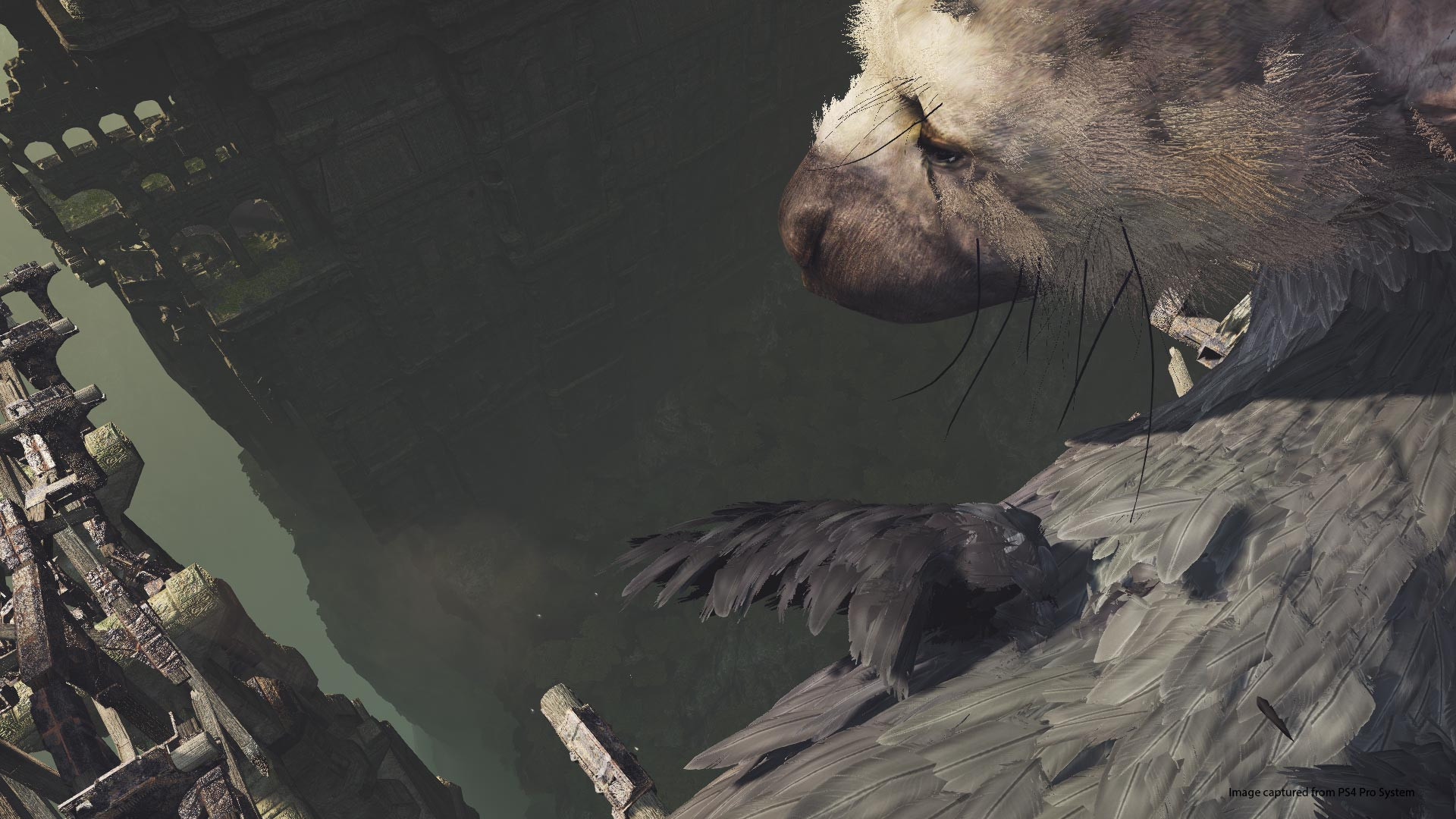 The Last Guardian VR Demo - кадр 2