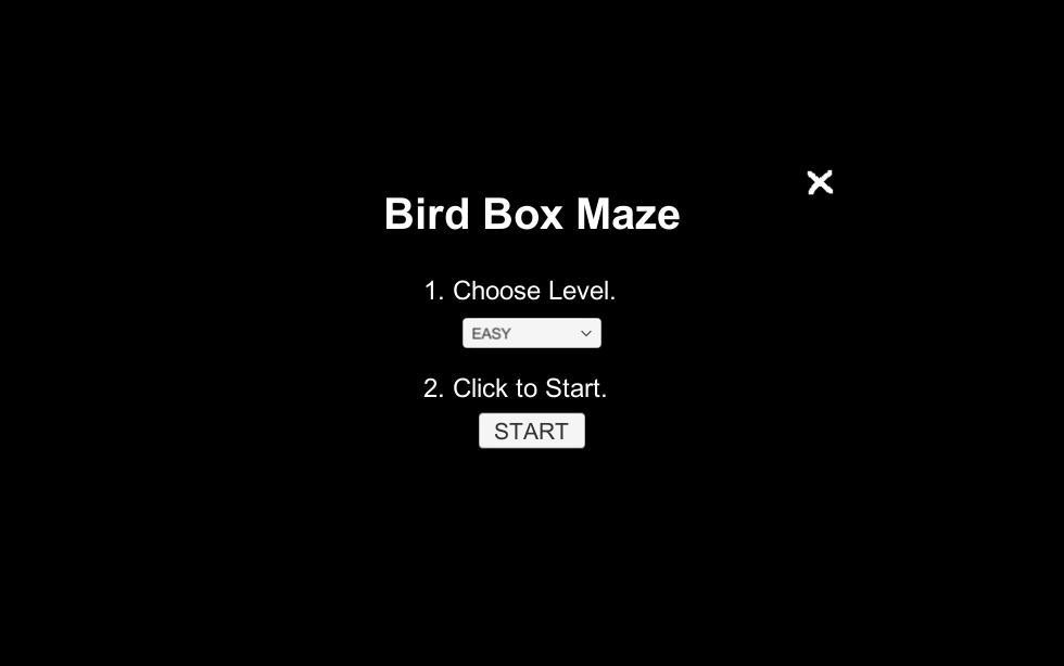 BirdBoxMaze (itch) - кадр 2