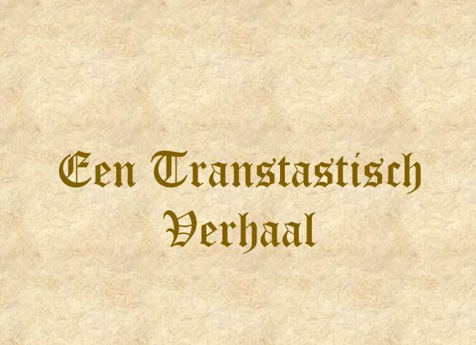 Een Transtastisch Verhaal (itch) - кадр 1