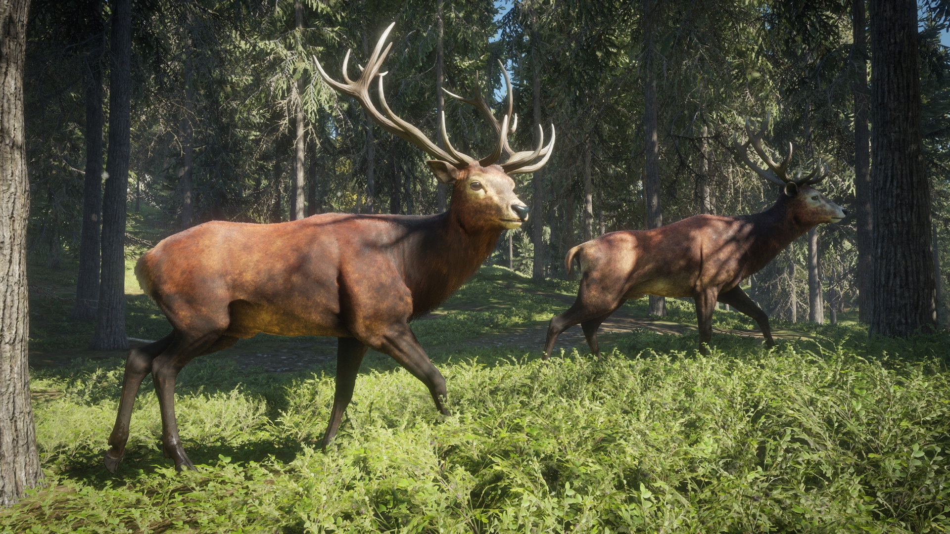 theHunter: Call of the Wild - кадр 11