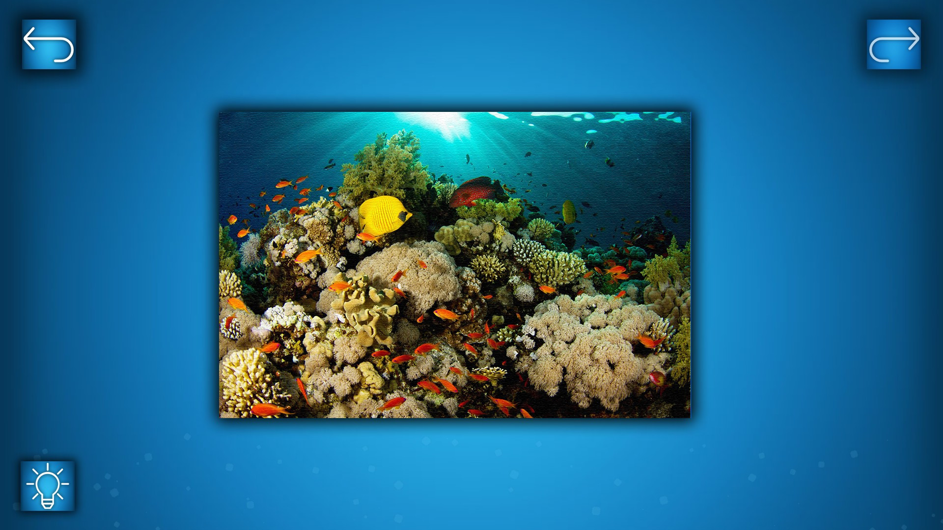 PUZZLE: OCEAN - кадр 2