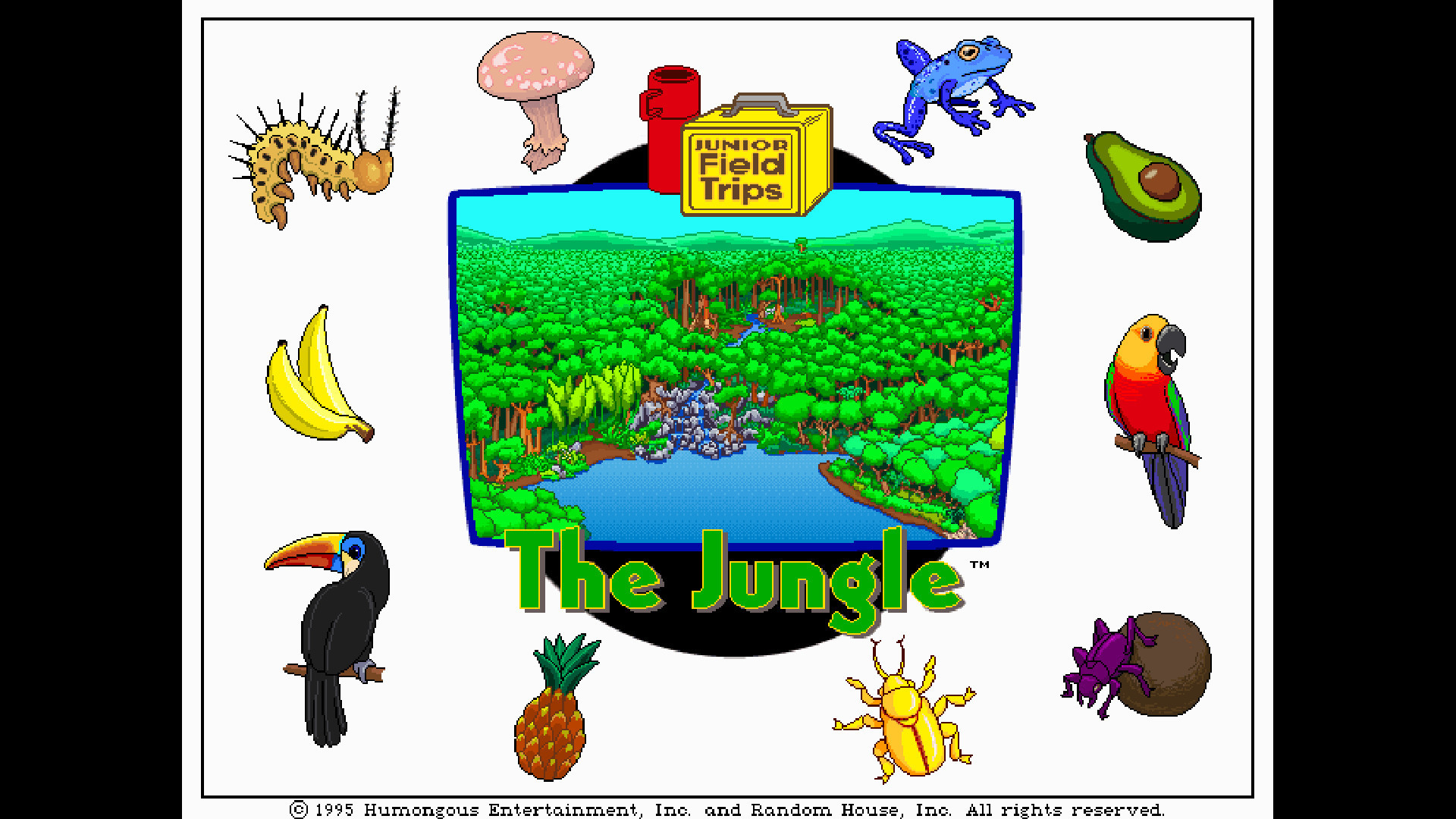 Let's Explore the Jungle (Junior Field Trips) - кадр 1
