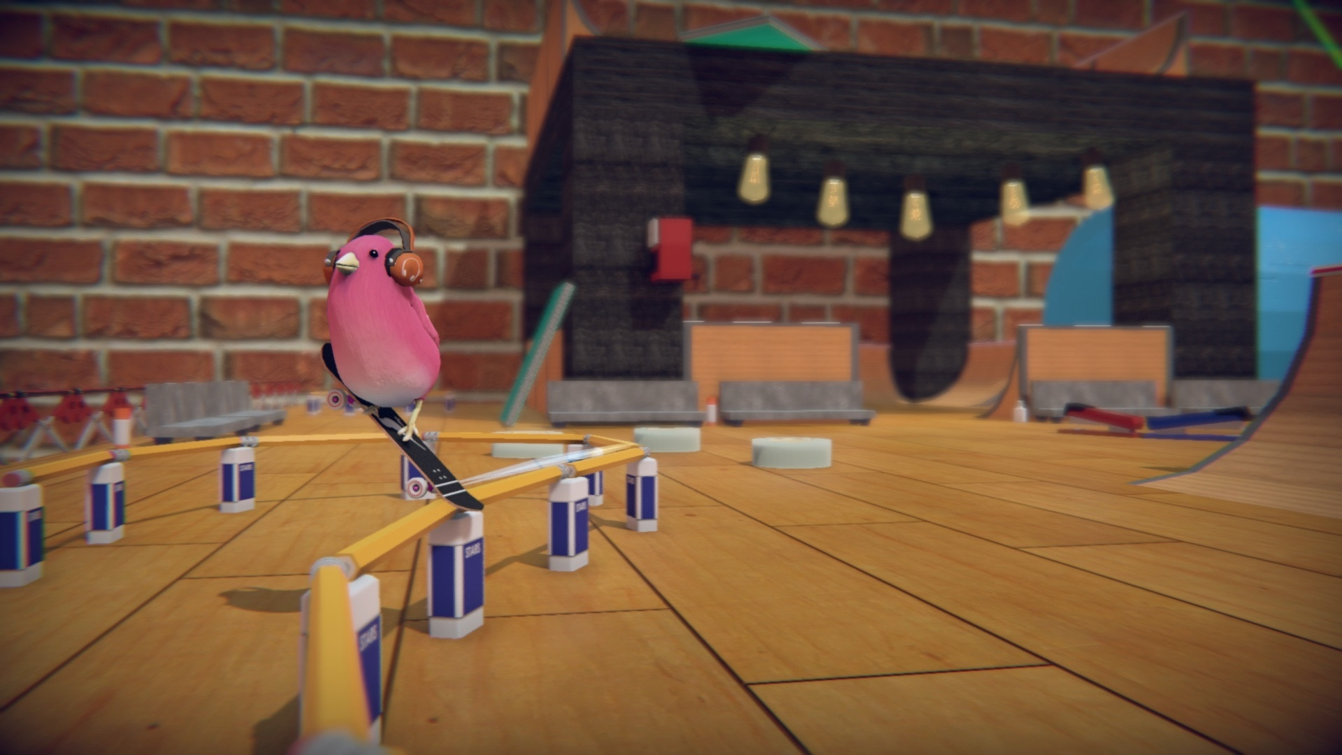 SkateBIRD - кадр 3