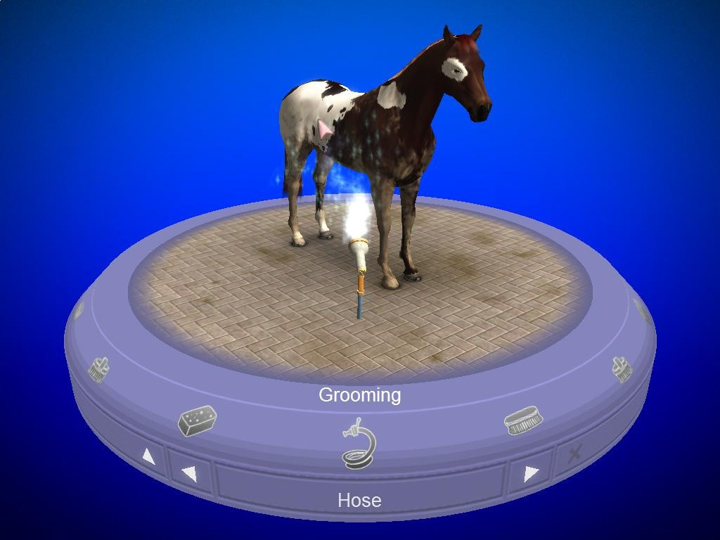 My Horse and Me - кадр 9