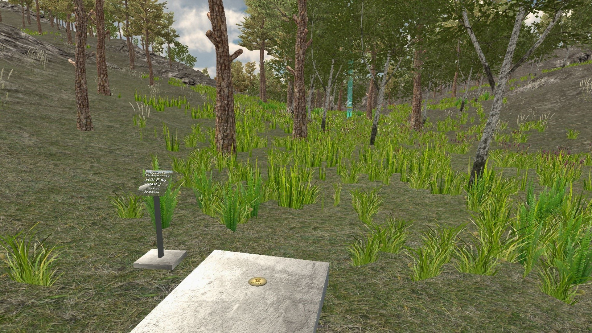 Disc Golf Adventure VR - кадр 3