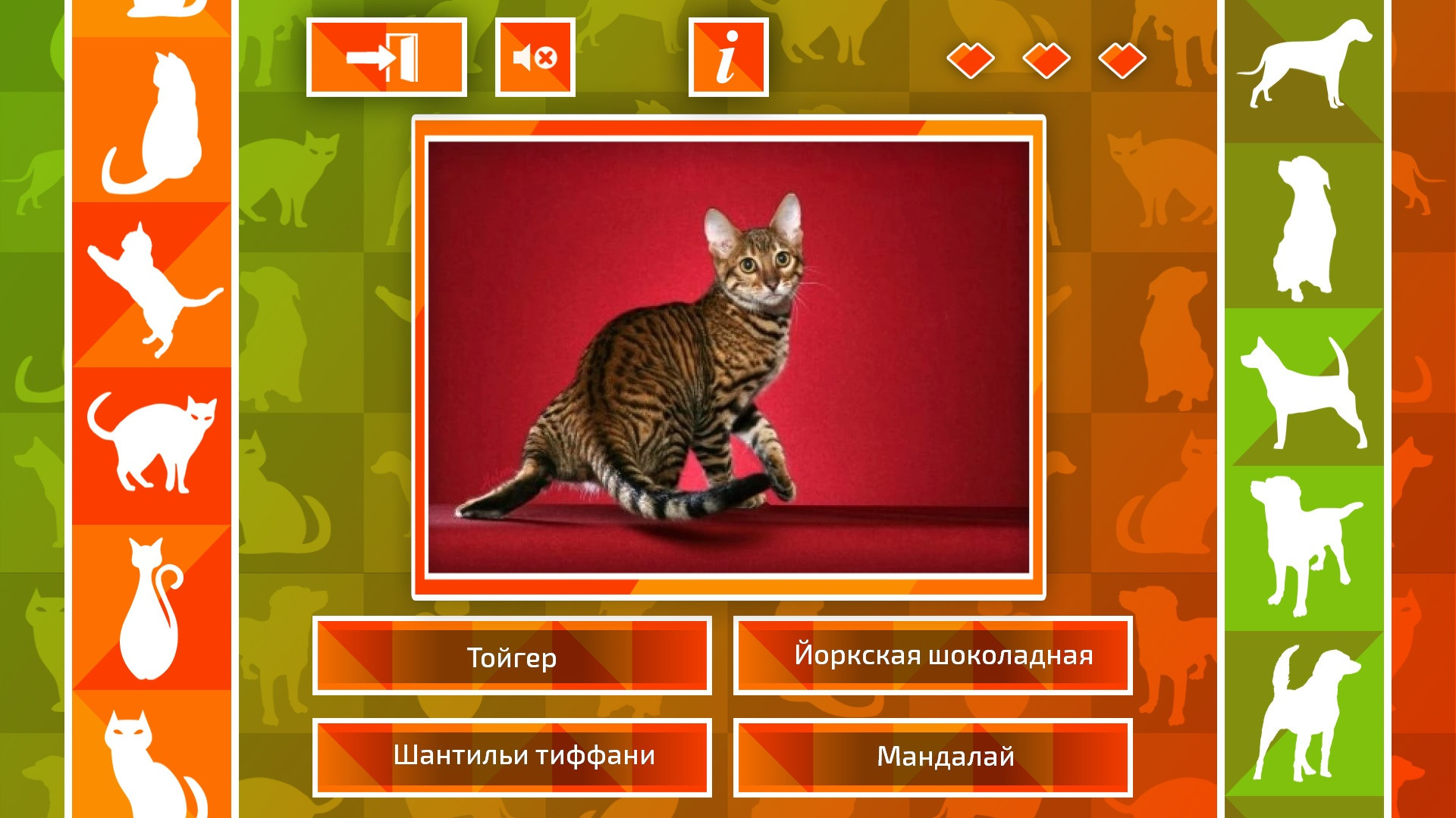 JQ: dogs & cats - кадр 4