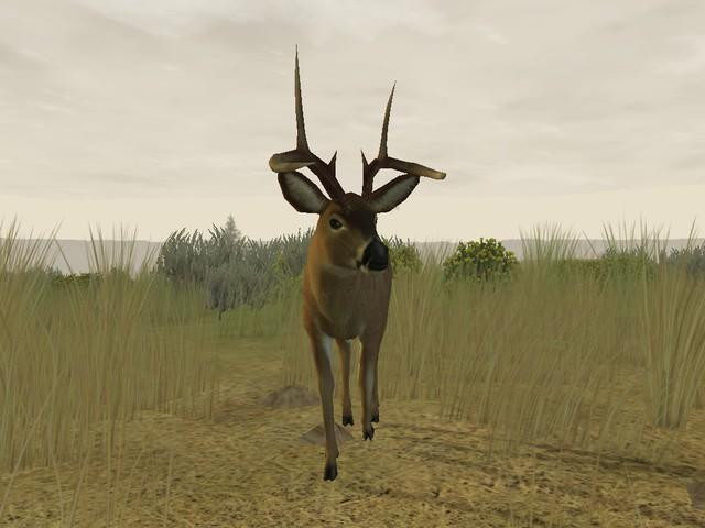 Deer Hunter 2005 - кадр 10