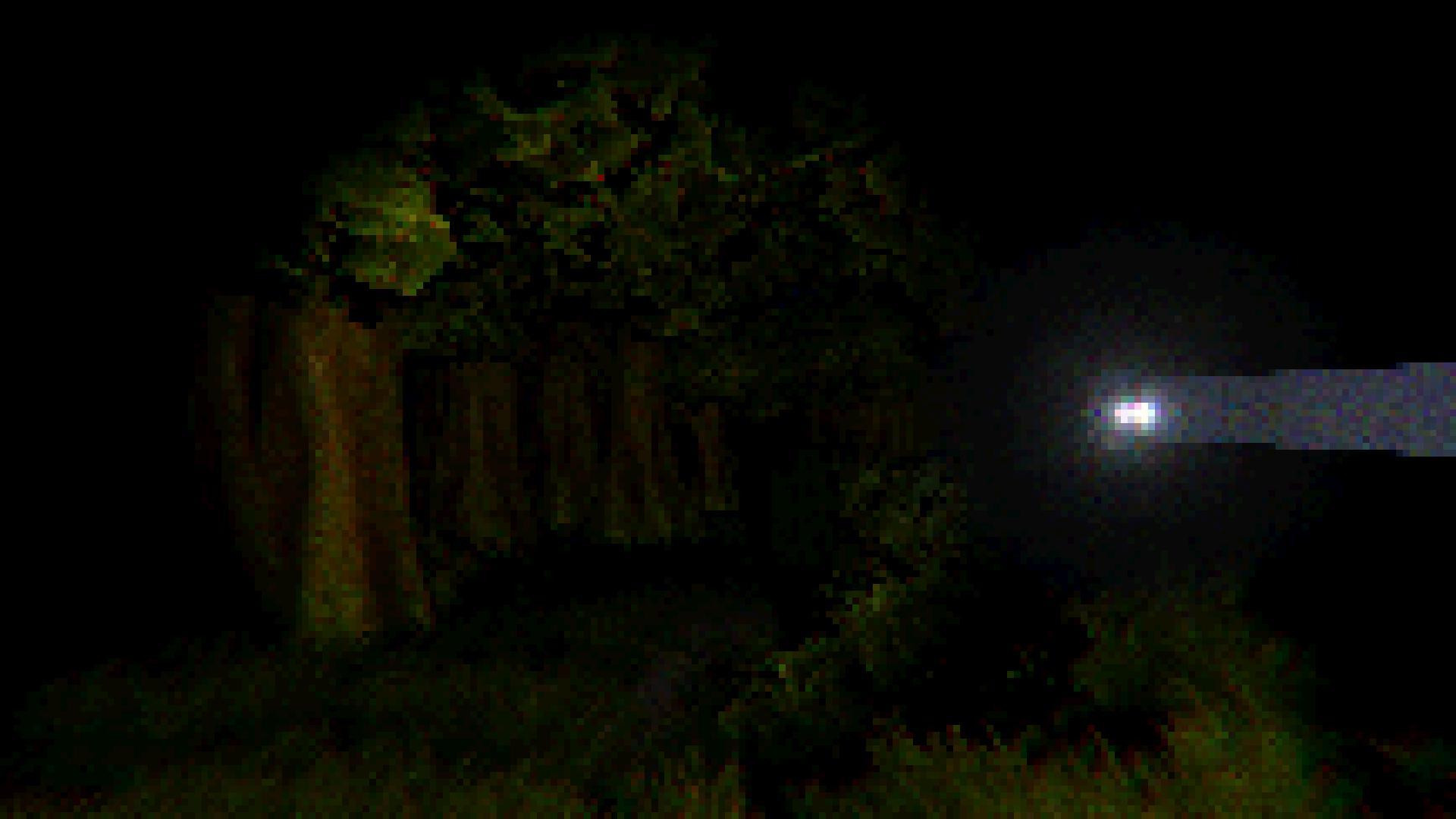 THE FOREST - PSX STYLE (itch) - кадр 9