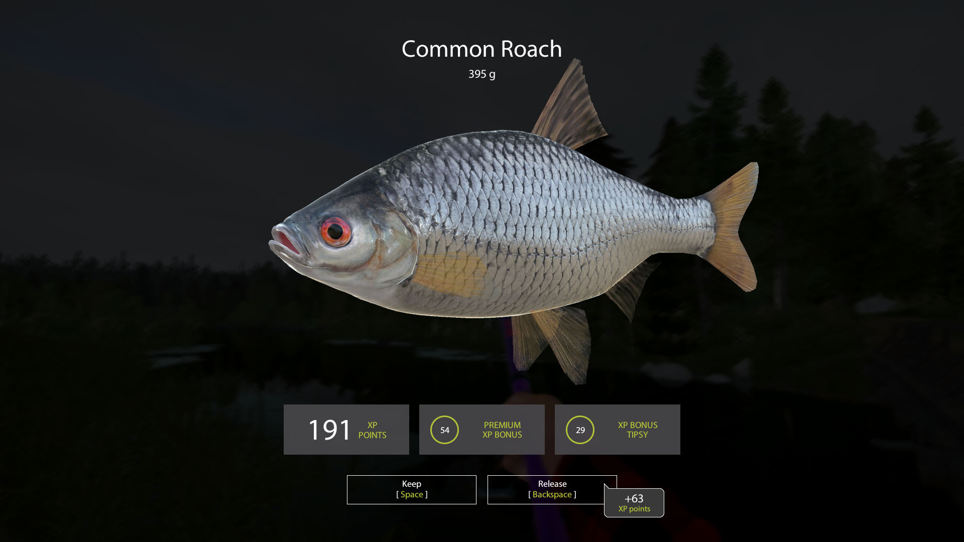 Russian Fishing 4 - кадр 6
