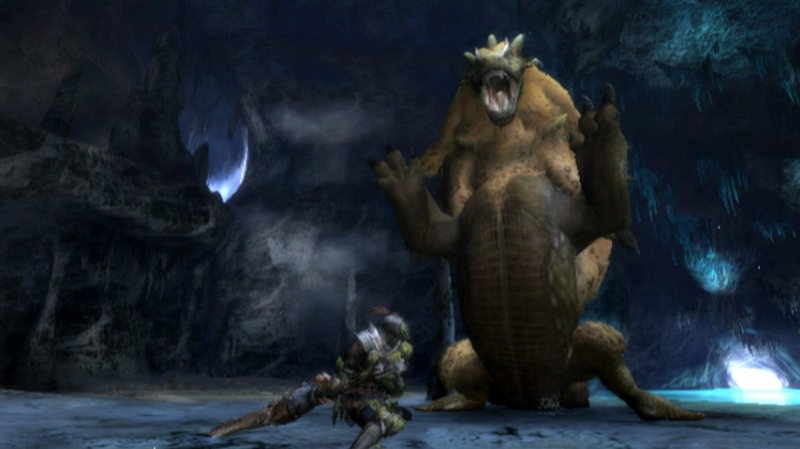 Monster Hunter 3 - кадр 1