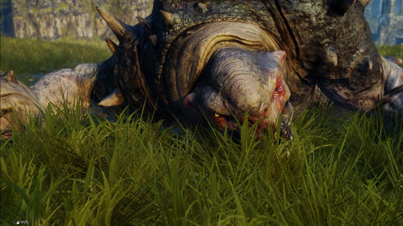 Middle-earth: Shadow of Mordor - кадр 10