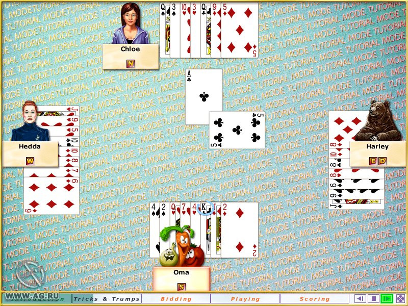 Hoyle Card Games 2005 - кадр 8
