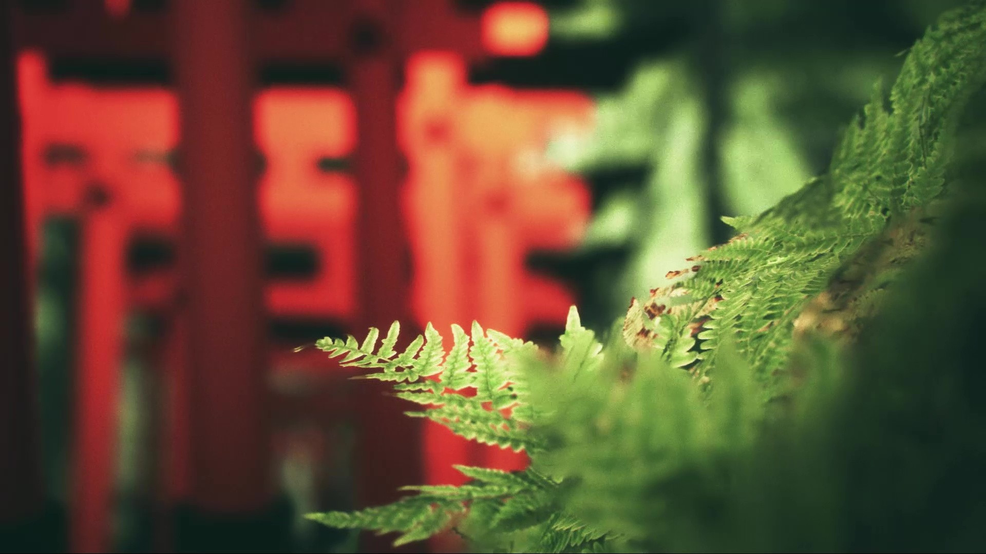 Explore Kyoto's Red Gates (itch) - кадр 1