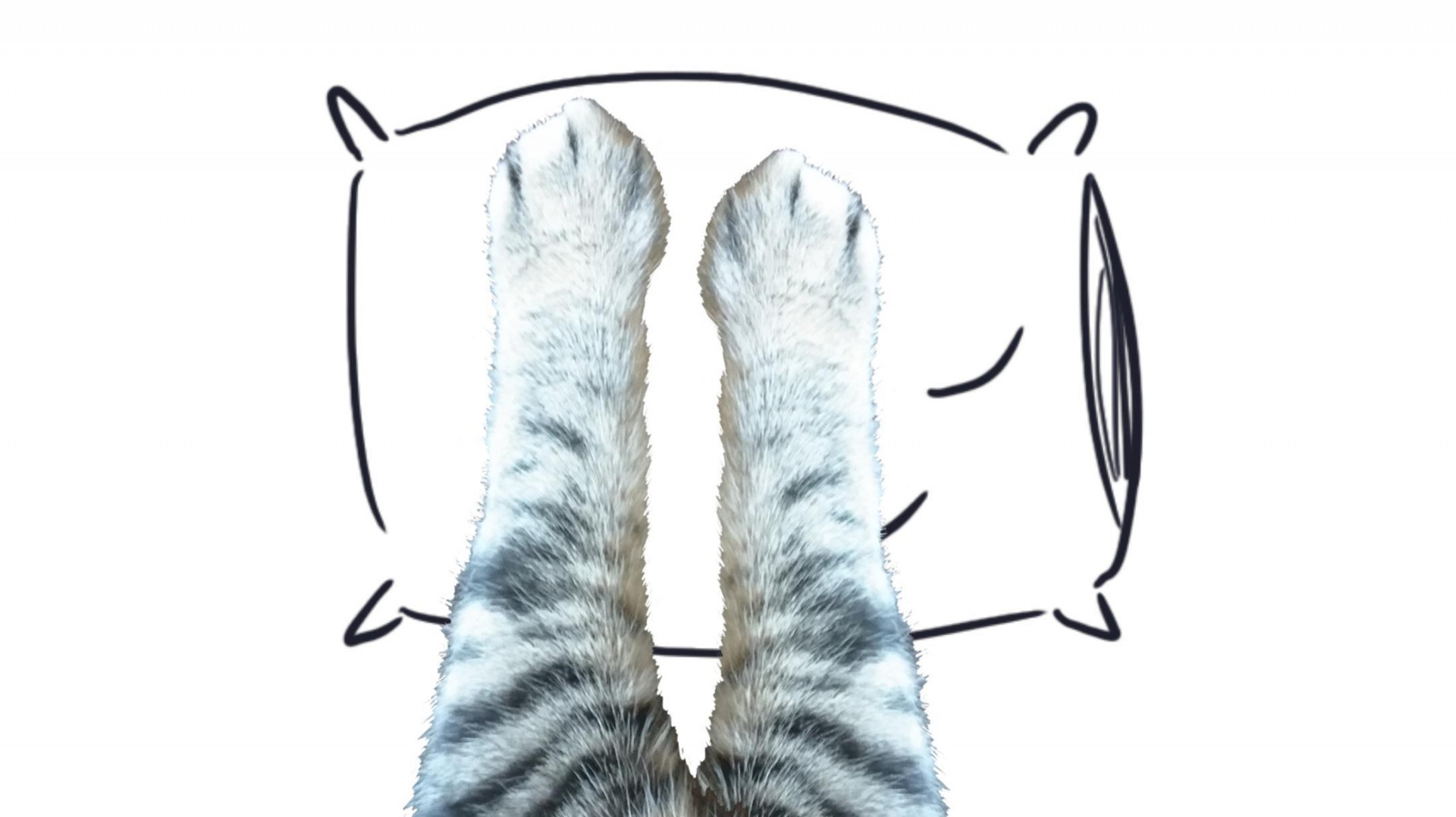 Amusing Catventures (itch) - кадр 1