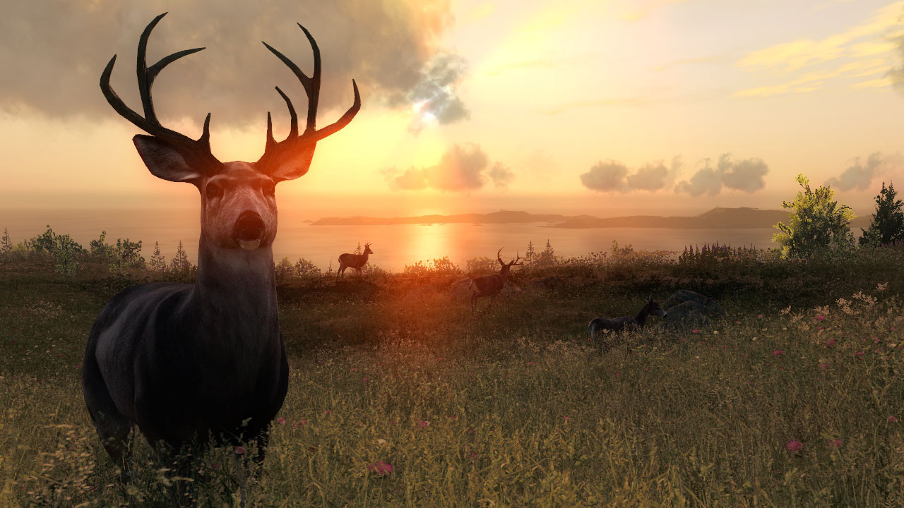 theHunter - кадр 2