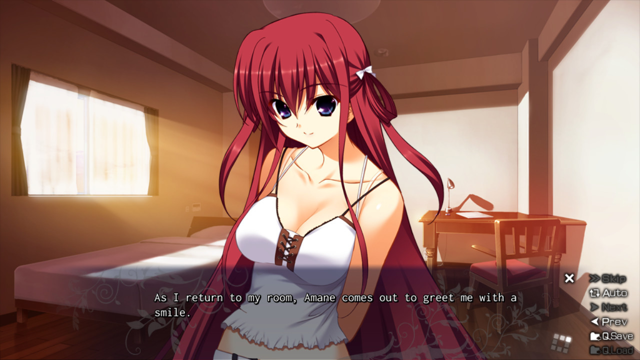 The Labyrinth of Grisaia - кадр 2