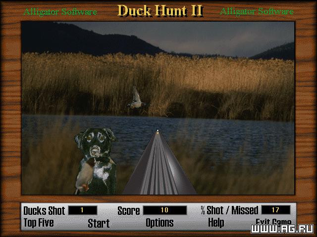 Duck Hunt 2 - кадр 1