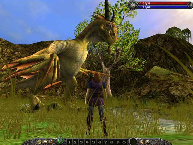 Asheron's Call 2: Fallen Kings - кадр 8