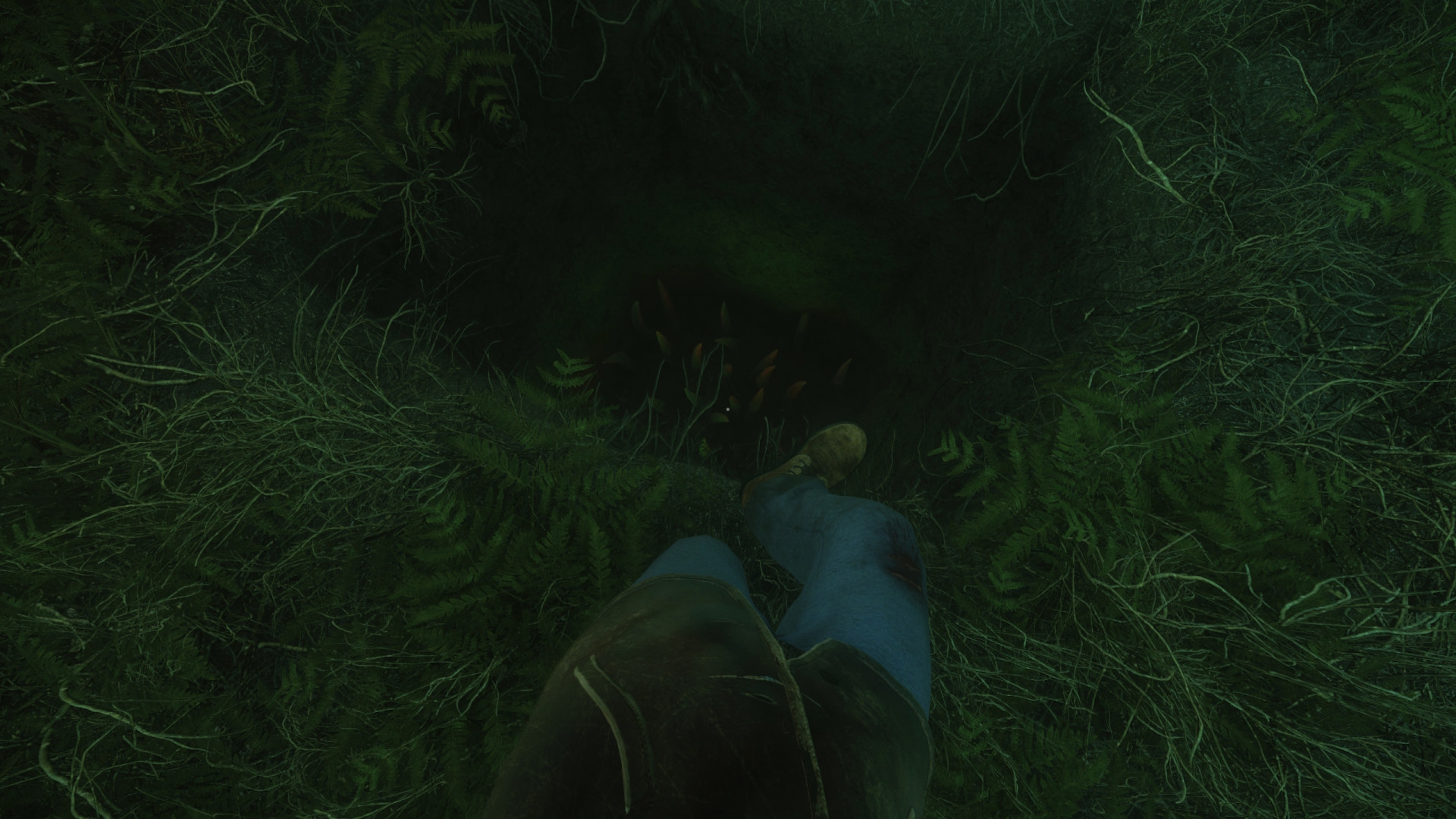 The Cursed Forest Demo (itch) - кадр 4