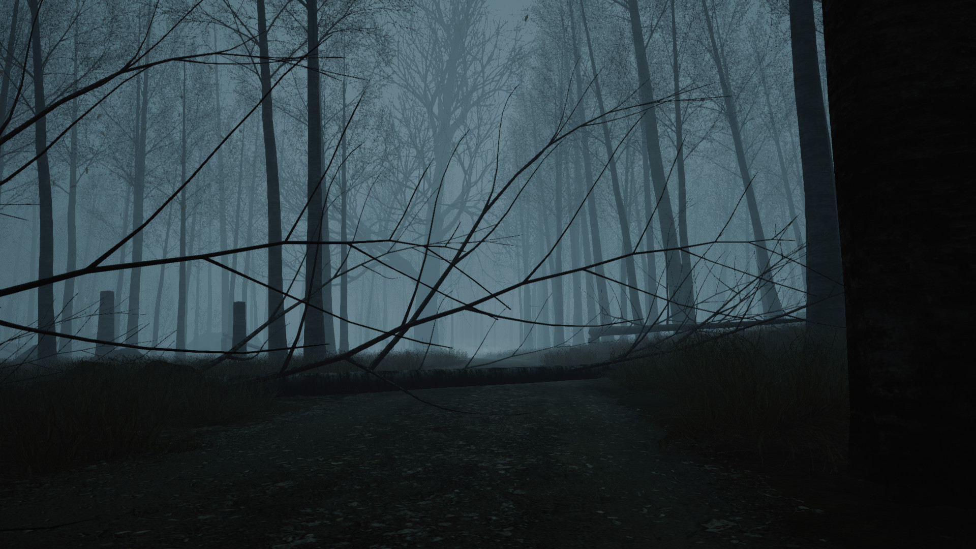 Dead Forest - кадр 4