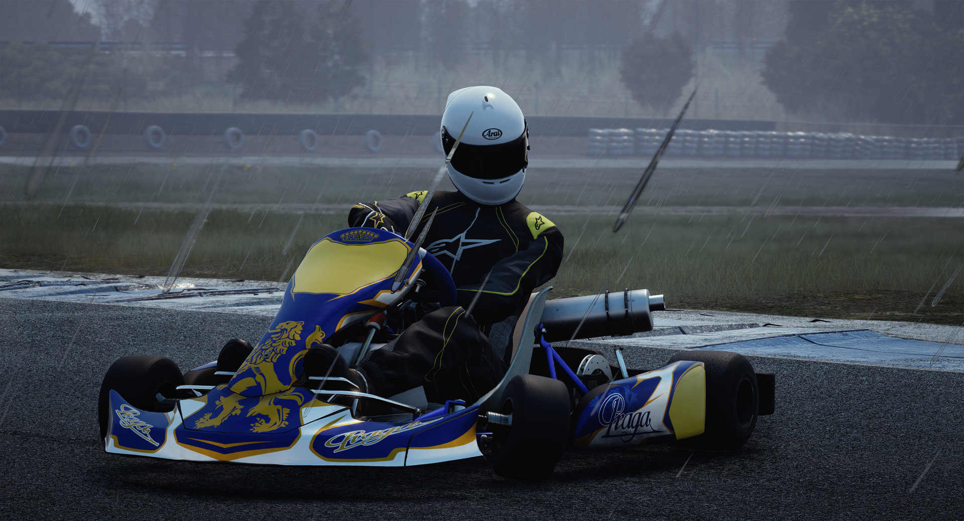 KartKraft - кадр 11